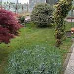 La Magnolia