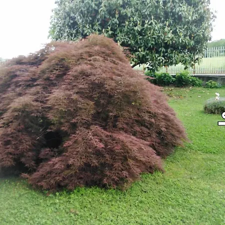 La Magnolia Castiglione Torinese