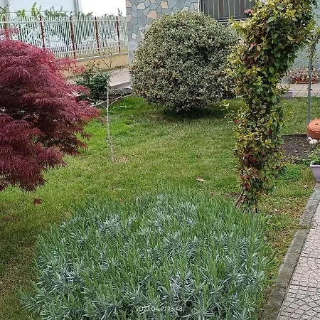 La Magnolia