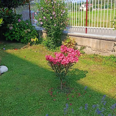 La Magnolia * Castiglione Torinese