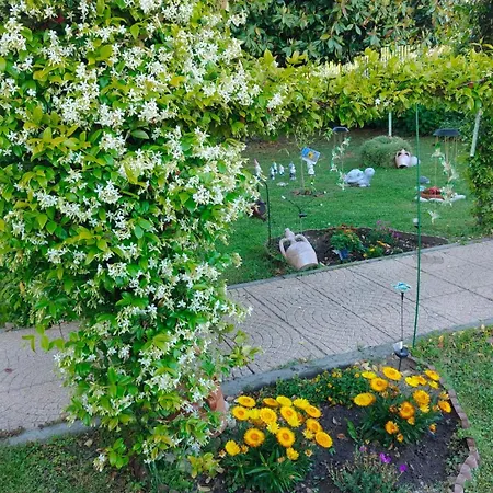 La Magnolia *