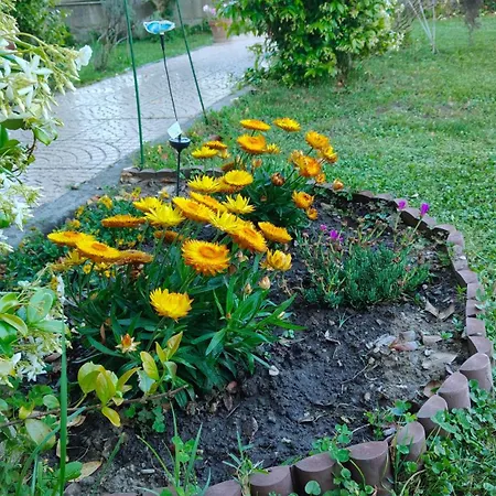 La Magnolia