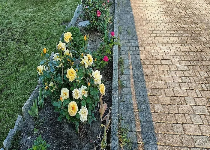 Apartamento La Magnolia Castiglione Torinese