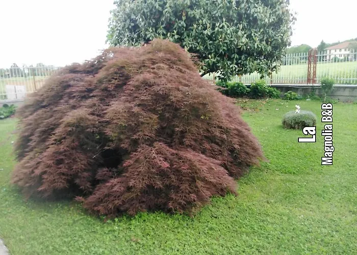 La Magnolia Castiglione Torinese